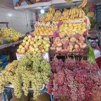 واگزاری-میوه-فروشی-فعال