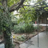 باسلام-منزل-مسکونی-باسند-عرصه-وعیان