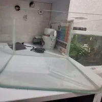 اکواریوم شرکتی