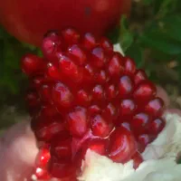 انار قرمز فروش عمده کیلویی ۹۰ هزار تومان