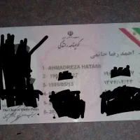 گمشده گواهینامه