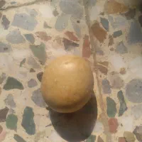 سنگ اسیاب سنگ الماس