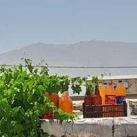 آبغوره.. ترخینه..انواع سبزی خشک موجود میباشد|خوردنی و آشامیدنی|دورود, |دیوار