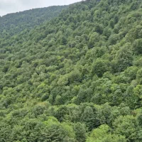 مغازه تجاری/ حاشیه خیابان فردوسی/