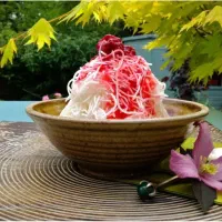 رشتە فالودە