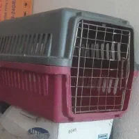 باکس حیوانات|لوازم جانبی حیوانات|پردیس, فاز ۲|دیوار