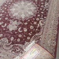 ۶ متری  ۵۰۰ شانه