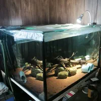 آکواریوم ۱۰۰ در ۱۰۰ در ۵۰ با فیلتر سطلی