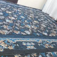 قالی دوازده متری|فرش|سوسنگرد, |دیوار