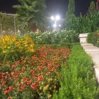 فروش زمین