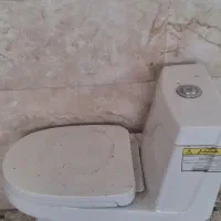 تولت فرنگی درحد نو