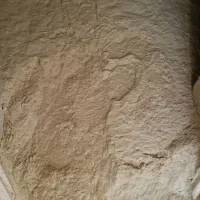 سبوس برنج درجه یک سنتی دوکوب  کامپیوتری