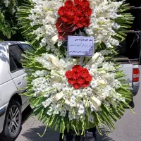 تاج گل ختمی،جشنی،نمایشگاه بین المللی