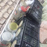 شیشه رب گوجه خالی تمیز