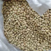 لوبیا آشی و لوبیا چیتی  امسال