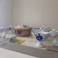 ظروف پذیرایی|ظروف سرو و پذیرایی|تهران, اسکندری|دیوار