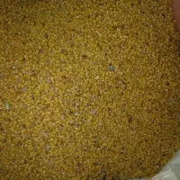 تخم شودردرجه یک تمیز