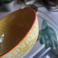 ۲ عدد کاسه ماست خوری