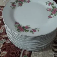 چینی گل سرخ قدیمی|ظروف سرو و پذیرایی|نیشابور, مدرس|دیوار