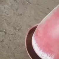 فروش کود مرغی ..کود مرغ محلی