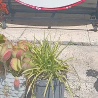 پایه طبل مناسب طبل ۱۲۰ تا ۱۶۰ چت پاسخگو هستم