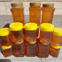 عسل طبیعی از تولید به مصرف بدون واسطه|خوردنی و آشامیدنی|رشتخوار, |دیوار