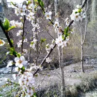 کوهنوردی و طبیعت