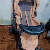 کالسکه دلیجان