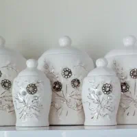 پاسماوری