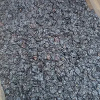 یه سینی خرمایامویزدم مغازت میذارم ماهی۵۰سودبگیر