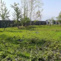 زمین مسکونی در شمال کشور یا تهاتر با ملک یا خودرو|فروش زمین و ملک کلنگی|کلاچای, |دیوار