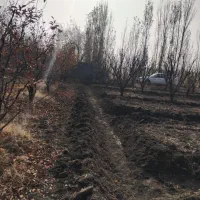 باغچه ۱۰۰۰ متری در سوپورغان|فروش دفتر صنعتی، کشاورزی، تجاری|ارومیه, |دیوار