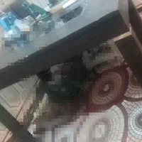 میز غذا خوری|میز و صندلی غذاخوری|کارون, |دیوار