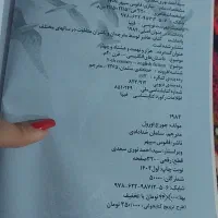 کتاب رمان 1984|کتاب و مجله تاریخی|تبریز, |دیوار