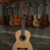 Edmundo CP - 7 Pro