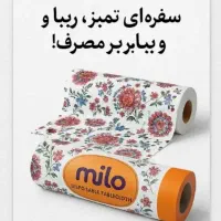دستمال کاغذی|مواد شوینده و دستمال کاغذی|مشهد, توس (بلوار توس)|دیوار