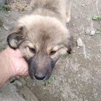 روستای مطهر گمشده