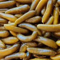 خیارشور نول همدان