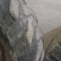 لاستیک گریدر|قطعات یدکی و لوازم جانبی|شیراز, گل سرخ|دیوار