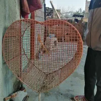 سطل آشغال آپارتمان