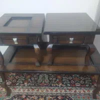 کوتوله برزیلی/جلومبلی چوب/پشتی بزرگ/جالباسی ایستاد|پرنده|مشهد, سیس‌آباد|دیوار