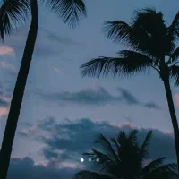 واگذاری لاین جهت راه اندازی باغ رستوران