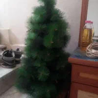 درخت کاج