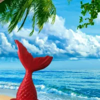 برکت را در زندگی خود افزایش دهید