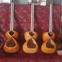 تار حرفه ای