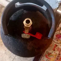 پیک نیک بزرگ