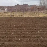 زمین ده هزار متر لب جاده کیلومتر زنجان تهران