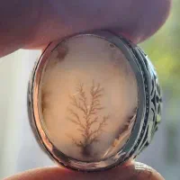 عقیق شجر تک درخت قائن|جواهرات|تهران, سلسبیل شمالی|دیوار