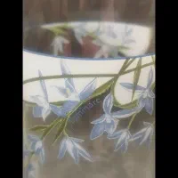 دو دست لیوان لومینارک|ظروف سرو و پذیرایی|تهران, دانشگاه شریف|دیوار