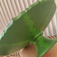 ست یلدایی|ظروف سرو و پذیرایی|خرمآباد, |دیوار